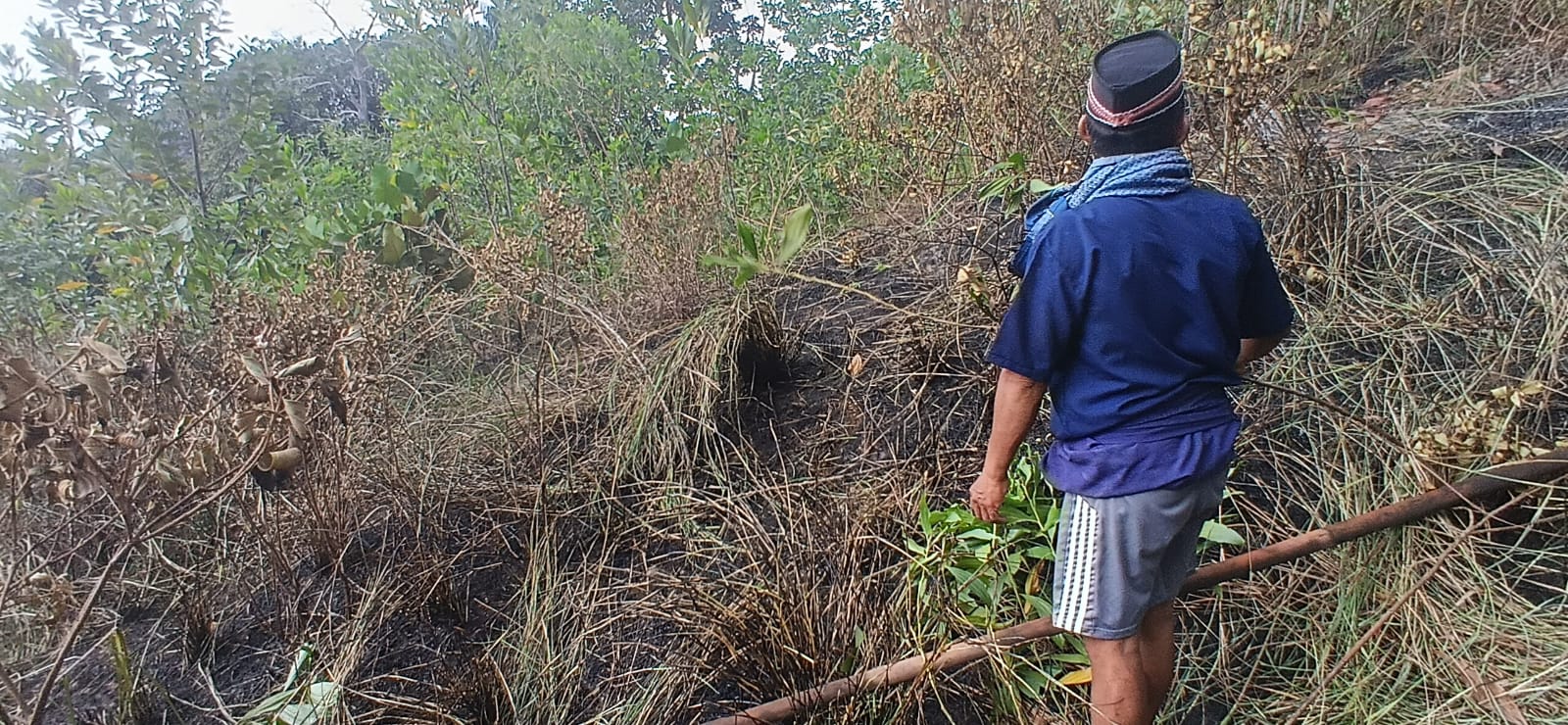 Monitoring Kebakaran Lahan Masyarakat